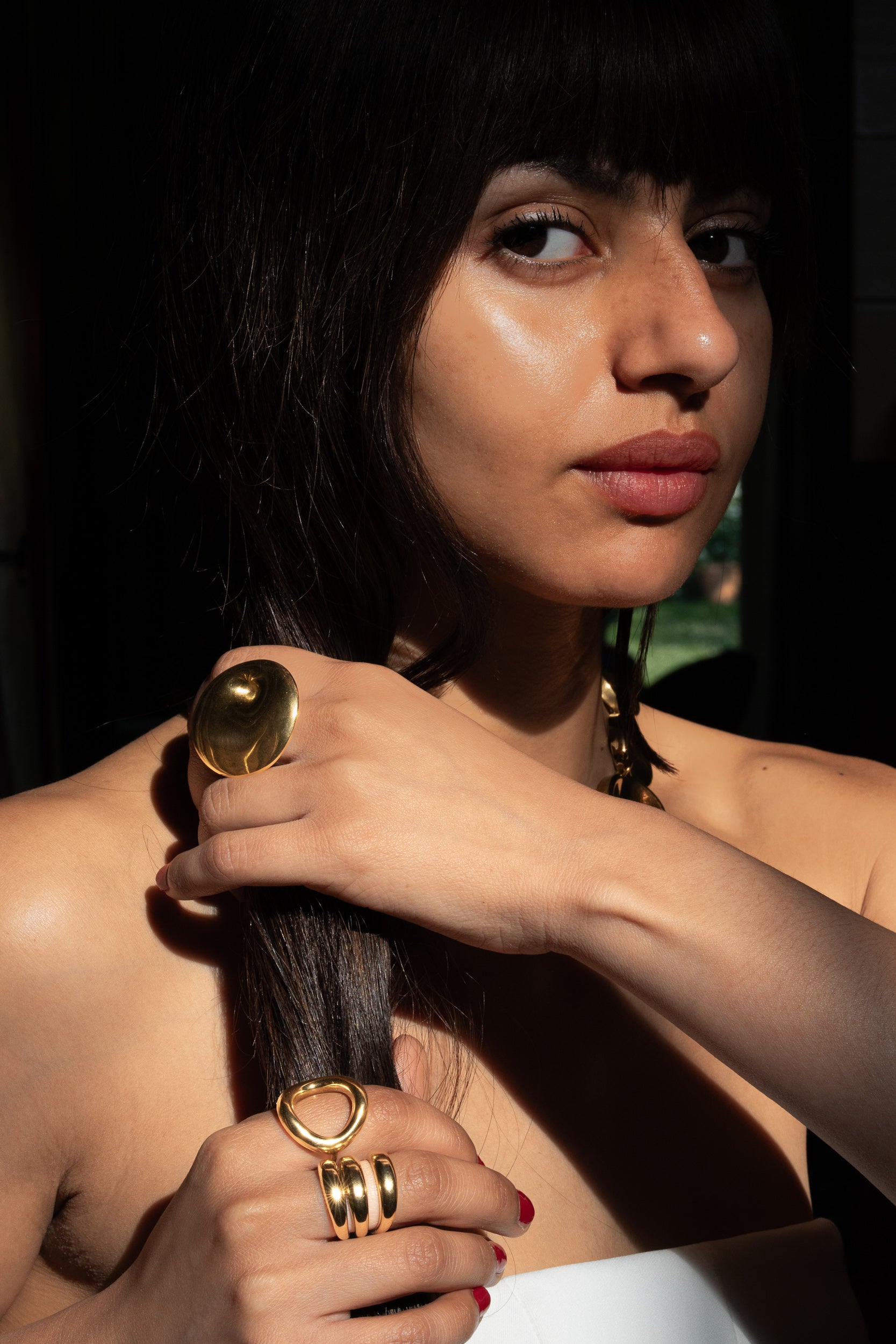 Amara dorée